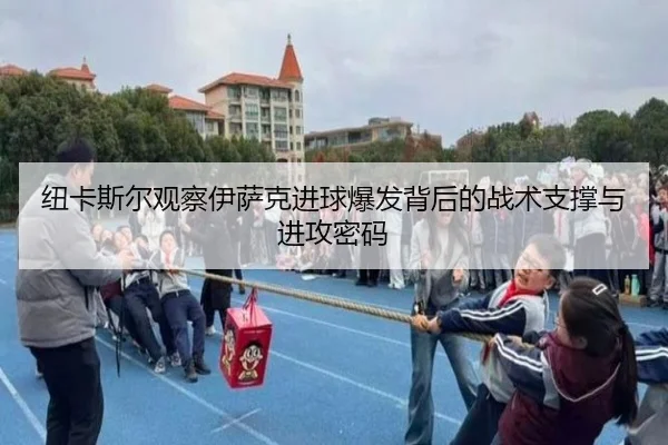 img_1782510259396_486_1_388.jpg